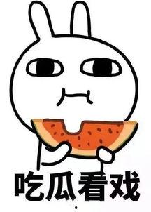 娱乐吃瓜群名叫什么好听,探寻那些独具特色的娱乐吃瓜群名